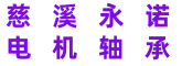 慈溪市永诺不锈钢轴承有限公司